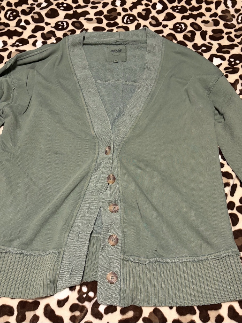 aerie Sage Green V-Neck Button Cardigan
